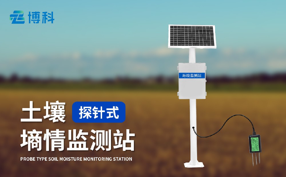 1714376009198618.jpg 3.jpg