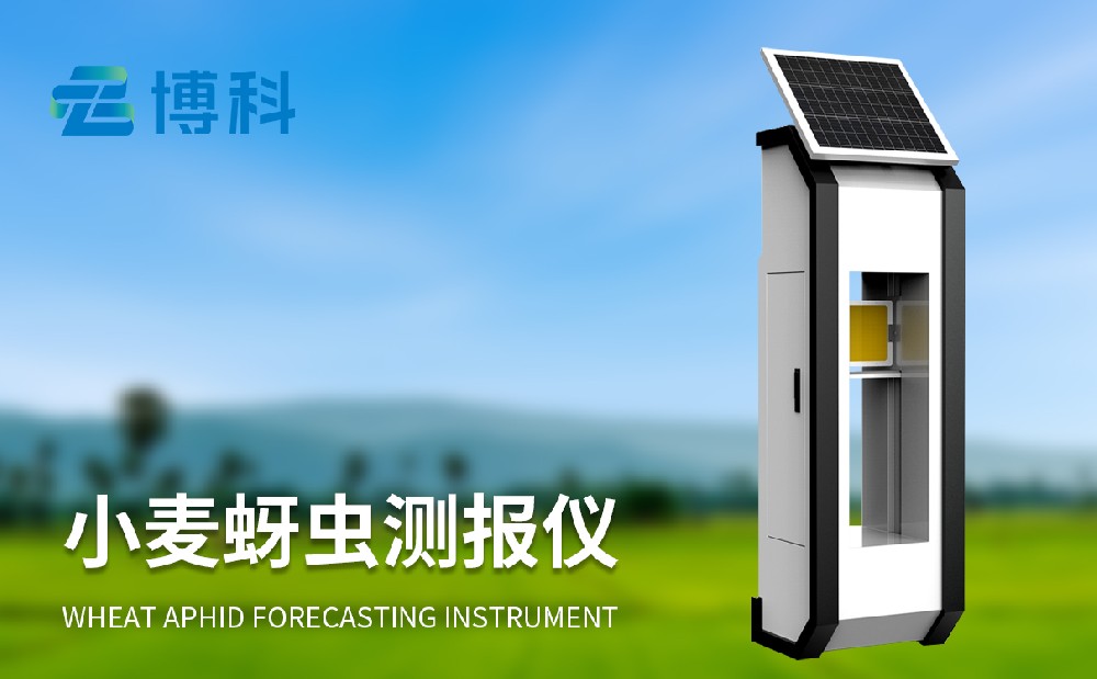 1715928540524255.jpg 小麥蚜蟲(chóng)監(jiān)測(cè)儀