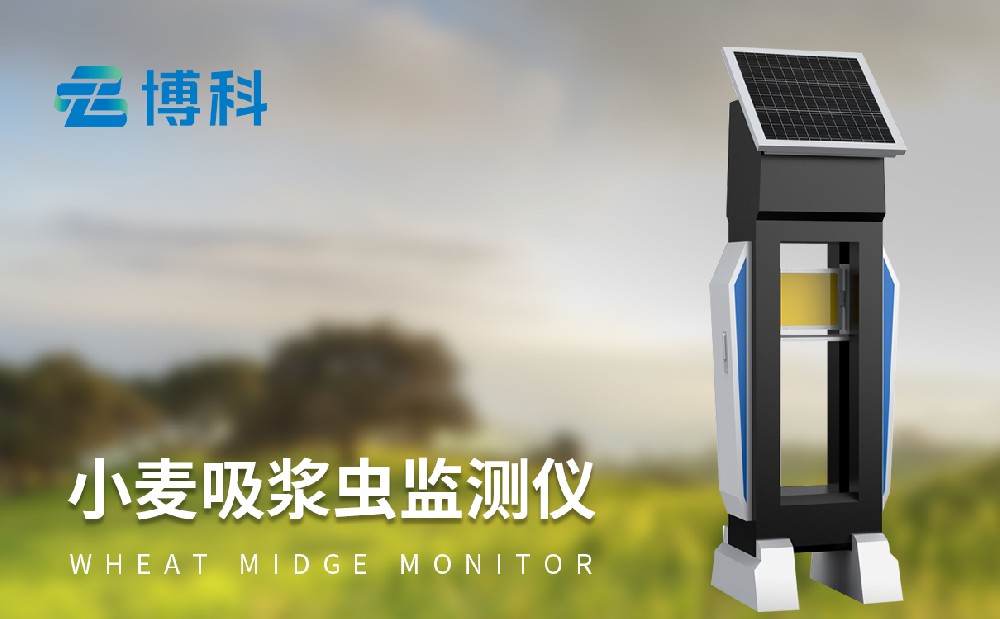 小麥吸漿蟲測報儀